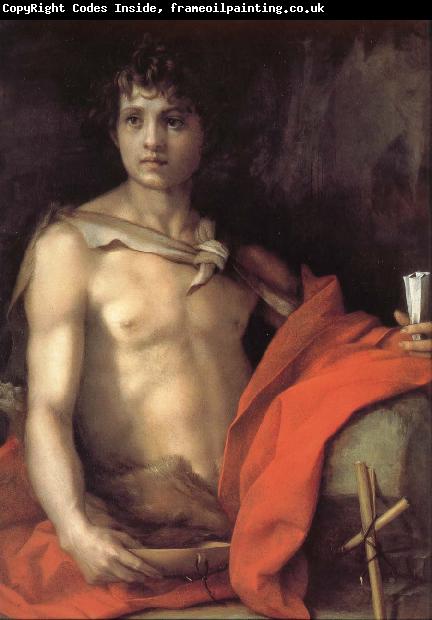 Andrea del Sarto Portrait of younger Joh